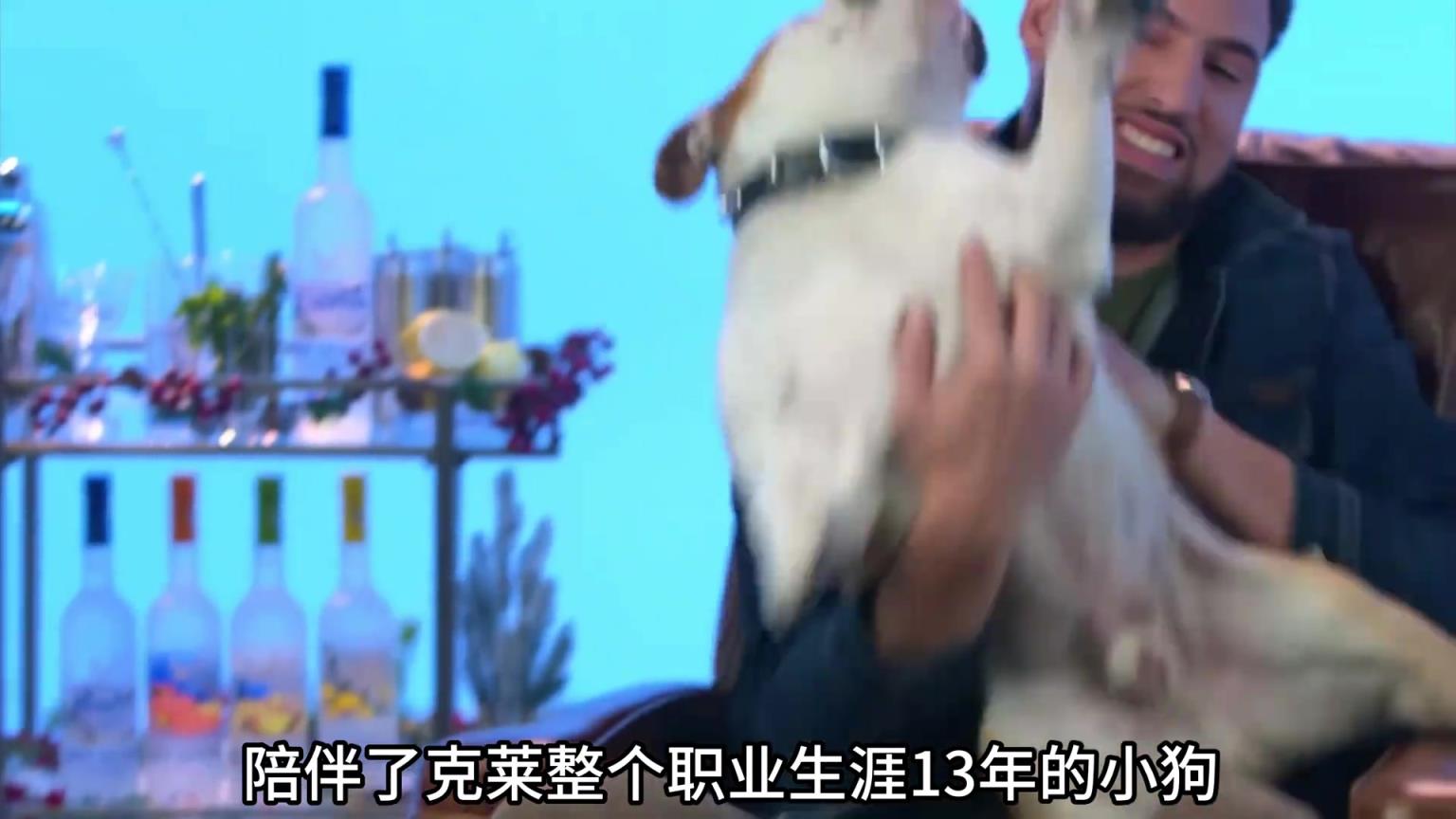 陪伴克萊13年的小狗去世了，不敢相信克萊得多么傷心